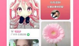 足坛最新爆料视频下载手机版,揭秘赛场幕后风云